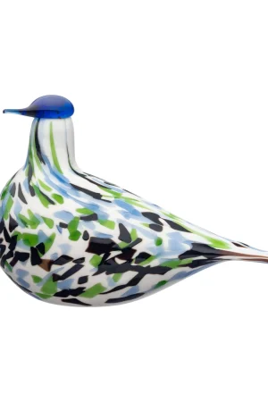 Alder Trush blue annual bird
